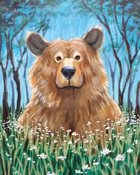 brown-bear-meadow-tv